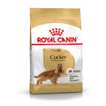 Royal Canin Cocker Spaniel Adult Breed Health Nutrition Dry Dog Food