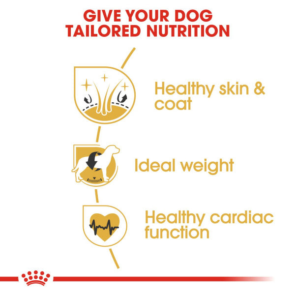Royal Canin Cocker Spaniel Adult Breed Health Nutrition Dry Dog Food