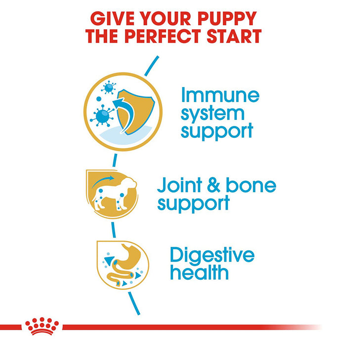 Advertisement for pet food with immune system, joint & bone, and digestive health benefits on a white background.