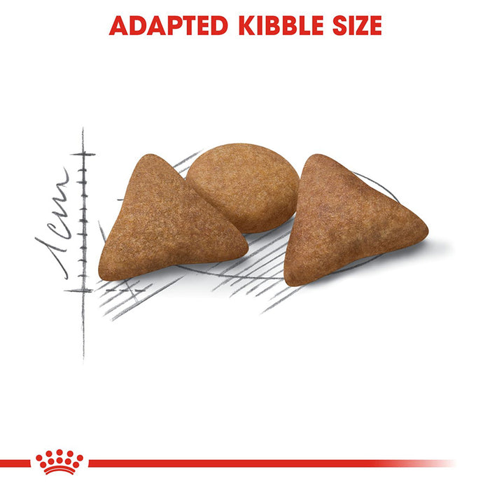 Three brown dog kibble pieces with a measurement scale and Royal Canin logo on a white background.