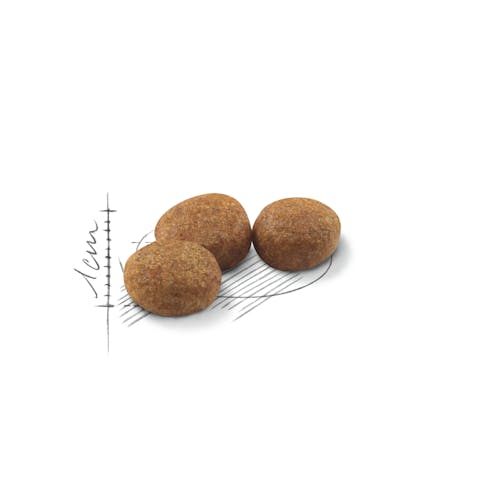 Royal Canin | Dry Cat Food | Adult Sterilised - 2kg