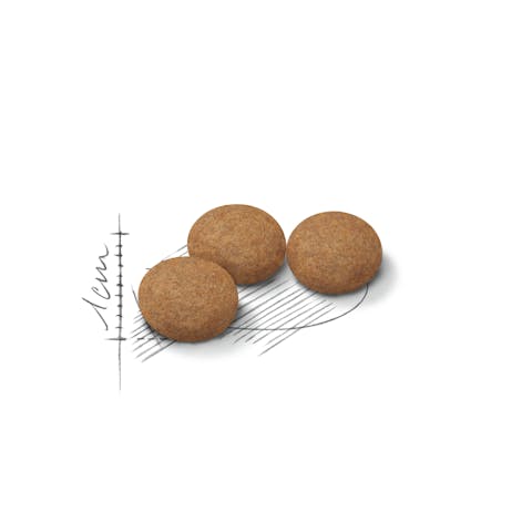 Royal Canin | Dry Cat Food | Ageing Sterilised 12+ - 400g