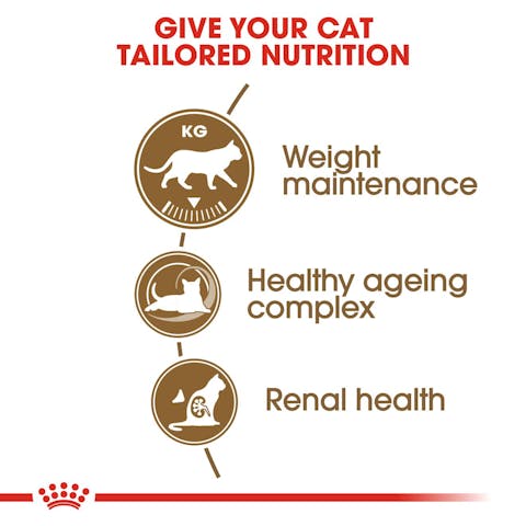 Royal Canin | Dry Cat Food | Ageing Sterilised 12+ - 400g
