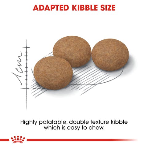 Royal Canin | Dry Cat Food | Ageing Sterilised 12+ - 400g
