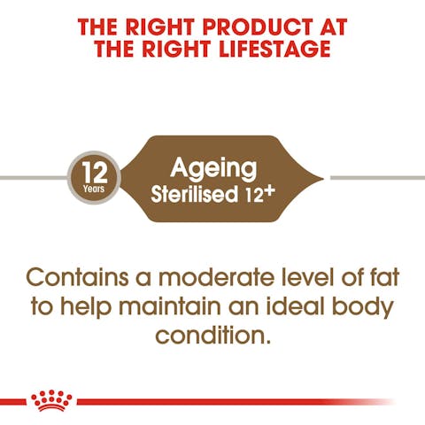 Royal Canin | Dry Cat Food | Ageing Sterilised 12+ - 400g