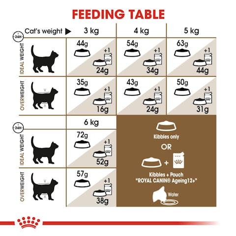 Royal Canin | Dry Cat Food | Ageing Sterilised 12+ - 400g