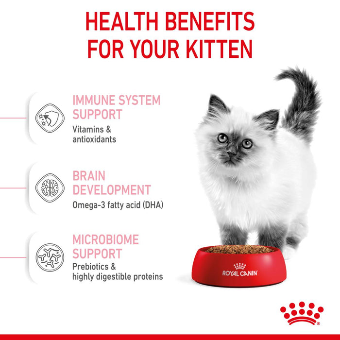 Royal Canin | Dry Cat Food | Kitten | Second Age Kitten