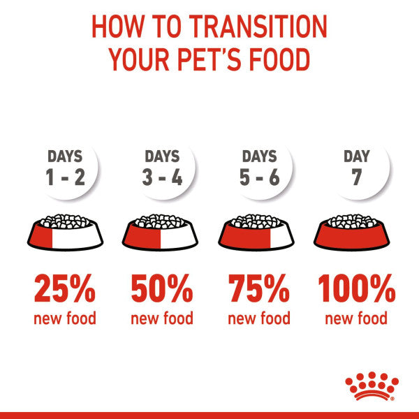 Royal Canin | Dry Cat Food | Kitten | Second Age Kitten