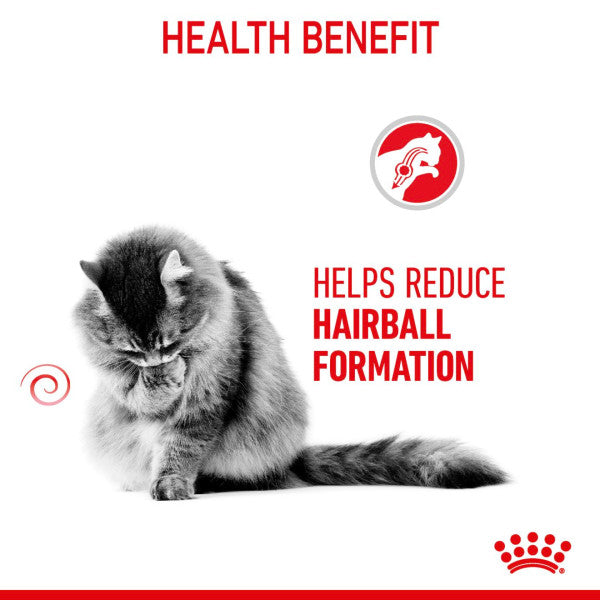 Royal Canin | Feline Care | Dry Cat Food | Hairball