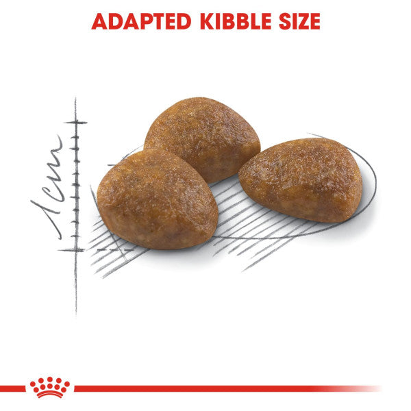 Royal Canin | Feline Health Nutrition | Dry Cat Food | Active Life Mature Outdoor 7+