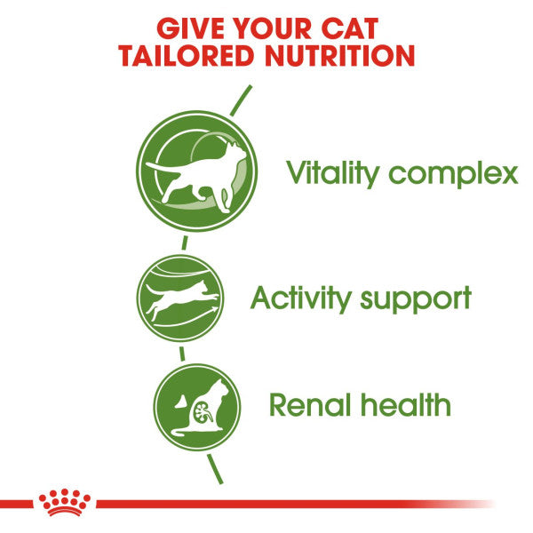 Royal Canin | Feline Health Nutrition | Dry Cat Food | Active Life Mature Outdoor 7+