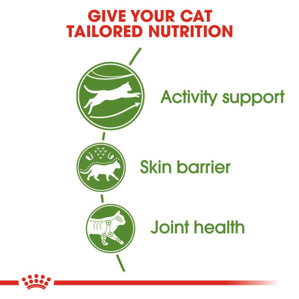 Royal Canin | Feline Health Nutrition | Dry Cat Food | Active Life Outdoor 30