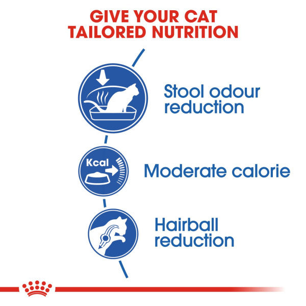 Royal Canin | Feline Health Nutrition | Dry Cat Food | Home Life Indoor 27