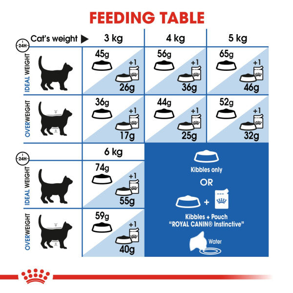 Royal Canin | Feline Health Nutrition | Dry Cat Food | Home Life Indoor 27