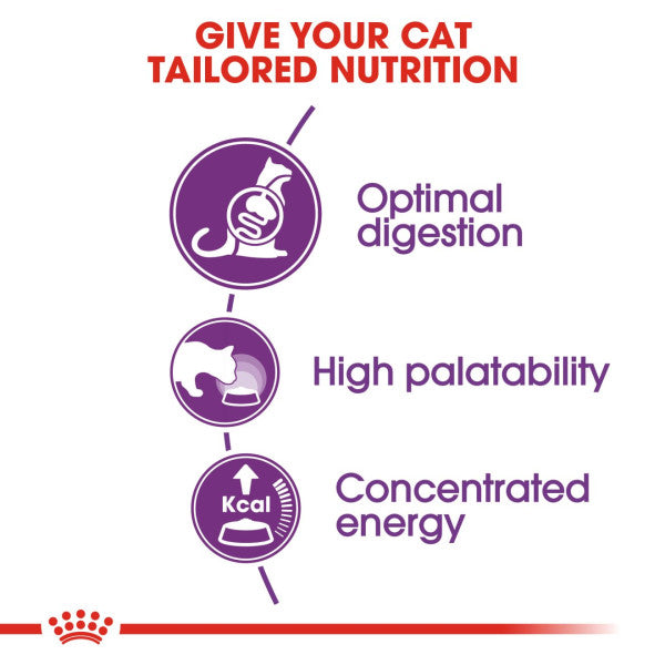 Royal Canin | Feline Health Nutrition | Dry Cat Food | Regular Sensible 33