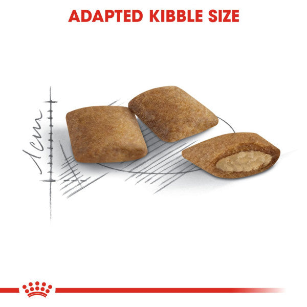 Royal Canin | Feline Health Nutrition | Dry Cat Food | Senior Ageing 12+