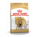 Royal Canin French Bulldog adult dog food packaging on a white background
