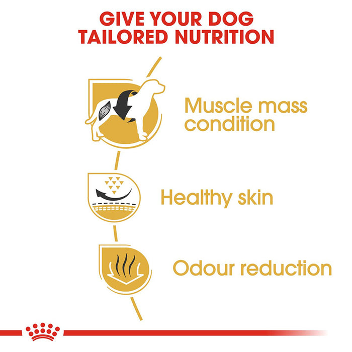 Diagram showing benefits of tailored dog nutrition with icons and text on a white background.