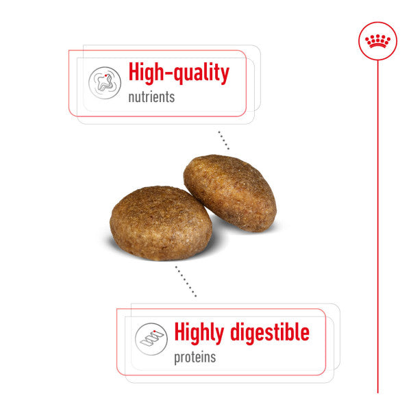 Royal Canin Maxi Adult Size Health Nutrition Dry Food for Large Dogs
