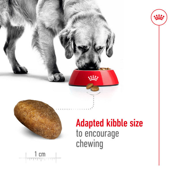 Royal Canin Maxi Adult Size Health Nutrition Dry Food for Large Dogs