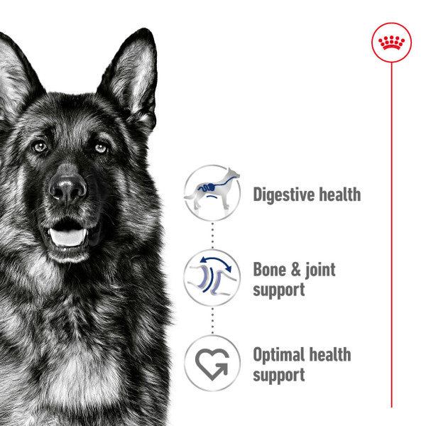 Royal Canin Maxi Adult Size Health Nutrition Dry Food for Large Dogs