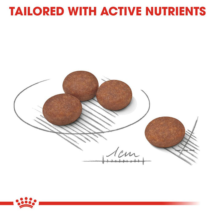 Three brown pet treats on a white background with text 'Tailored with Active Nutrients' and a red Royal Canin logo.