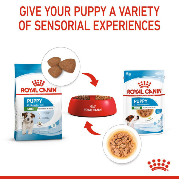 Royal Canin Mini Junior Size Health Nutrition Dry Food for Small Dogs