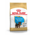 Royal Canin Yorkshire Terrier Junior Breed Health Nutrition Dry Dog Food