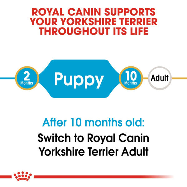 Royal Canin Yorkshire Terrier Junior Breed Health Nutrition Dry Dog Food