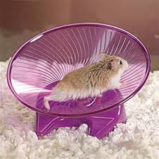 Small 'n' Furry | Small Pet Toy | Flying Fly'n' Saucer Wheel