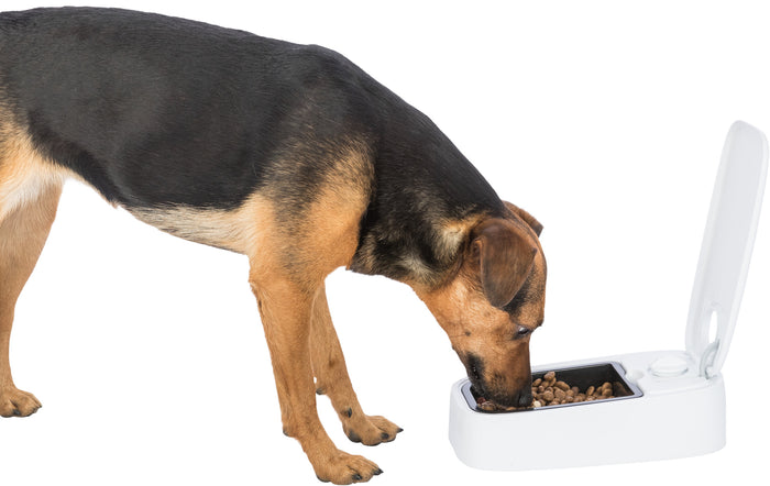 Trixie Automatic Dog Feeder - 0.3L Timed Wet/Dry Food Dispenser