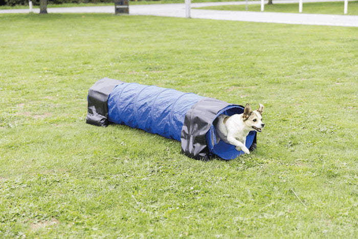 Trixie | Dog Activity | Agility Training | Mini Tunnel - 2m