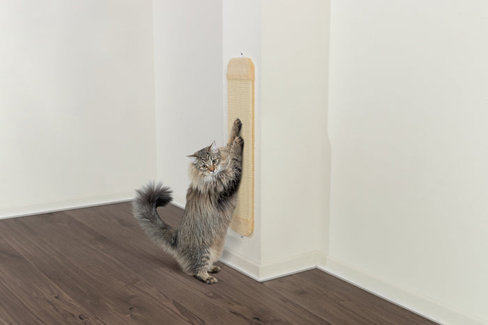 Trixie Scratching Board With Plush 18x78cm Beige