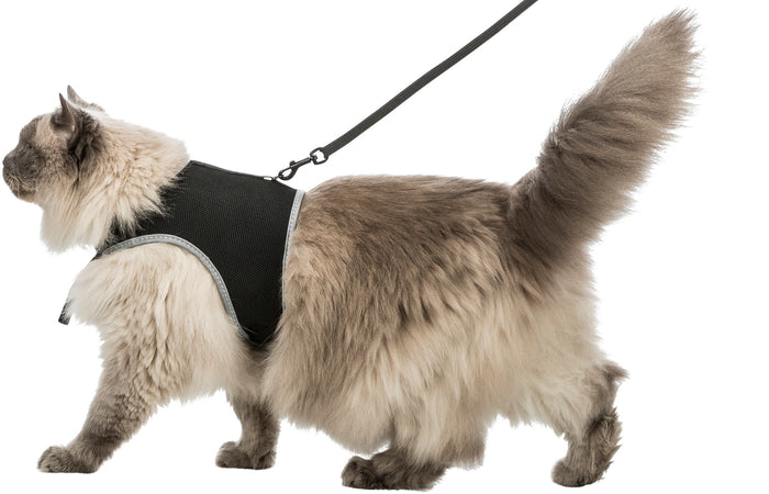 Trixie Soft Harness XXL with Lead - Large Cat Walking Harness
