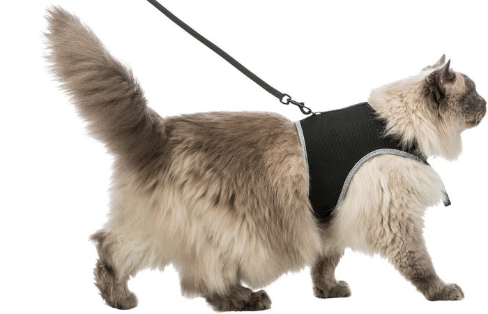 Trixie Soft Harness XXL with Lead - Large Cat Walking Harness