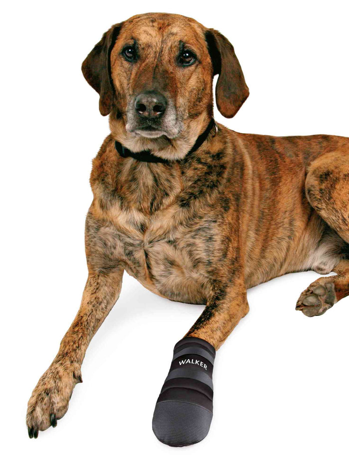 Trixie Walker Active Protective Boots | Supportive, Non-Slip Paw Protection for Dogs