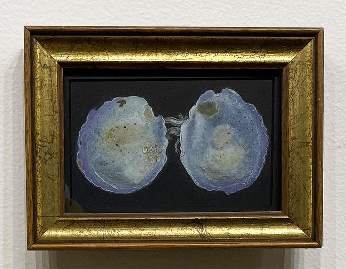 "Vancouver Bivalve" by Ven Loetz