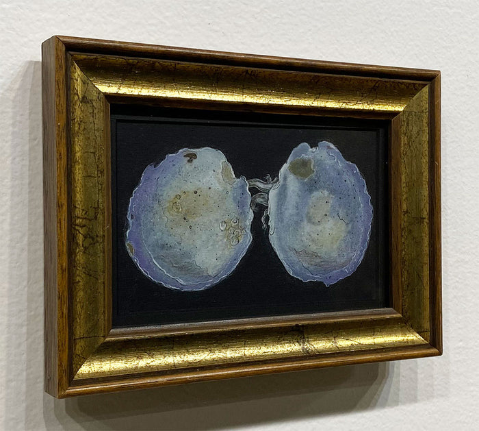 "Vancouver Bivalve" by Ven Loetz