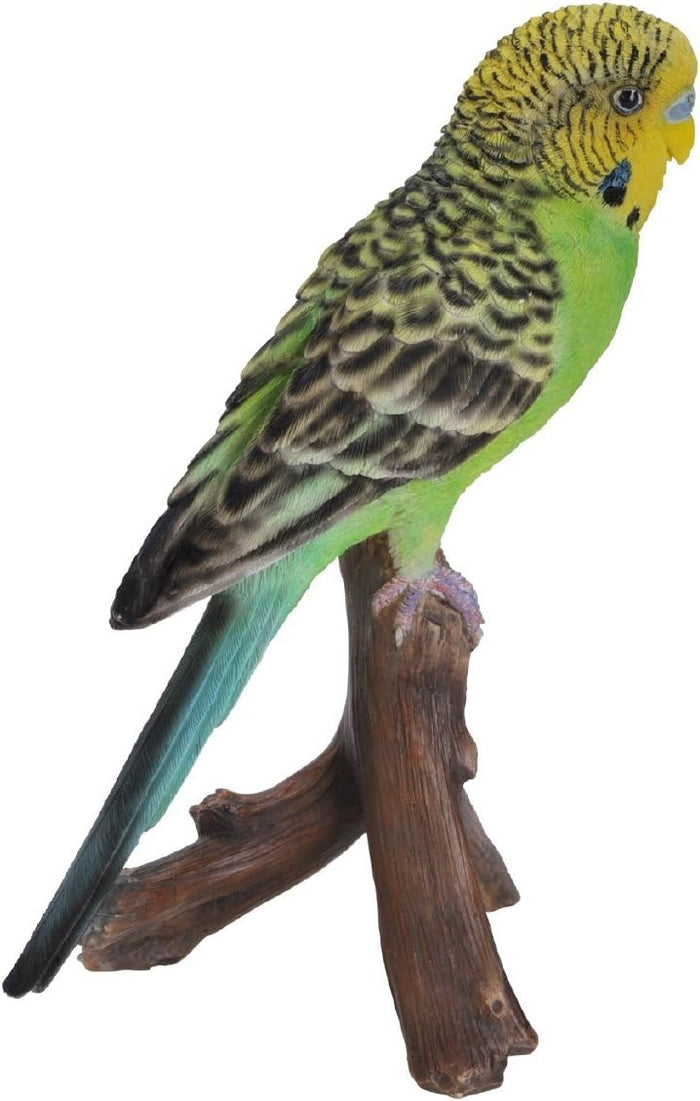 Vivid Arts Budgie Budgerigar Green