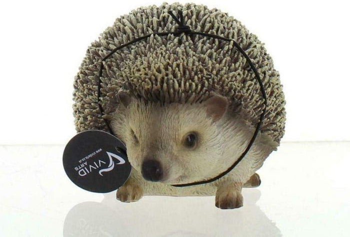 Vivid Arts Pet Pals Pygmy Hedgehog