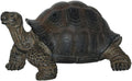 Vivid Arts PetPal Baby Tortoise
