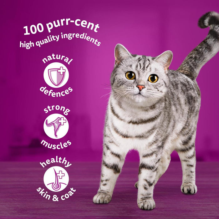 Whiskas | Wet Cat Food Pouches | Senior 7+ | Fish Favourites in Jelly - 12 x 85g